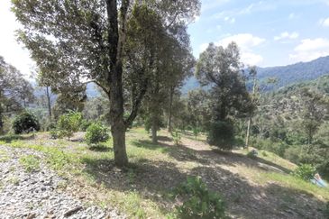 Kampung Mantin Dalam