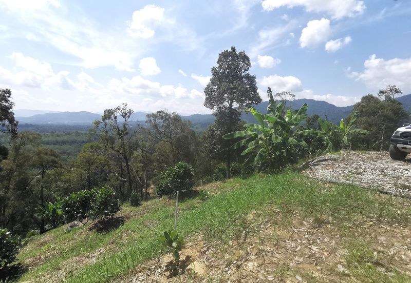 Kampung Mantin Dalam