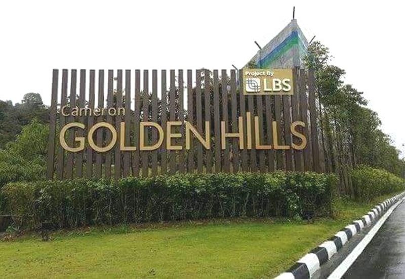 Cameron Golden Hills