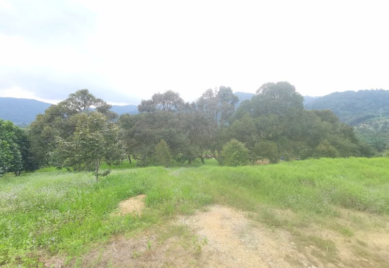 Kampung Mantin Dalam