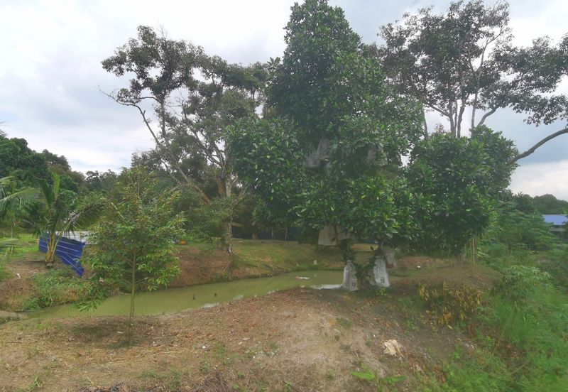 Kampung Mantin Dalam