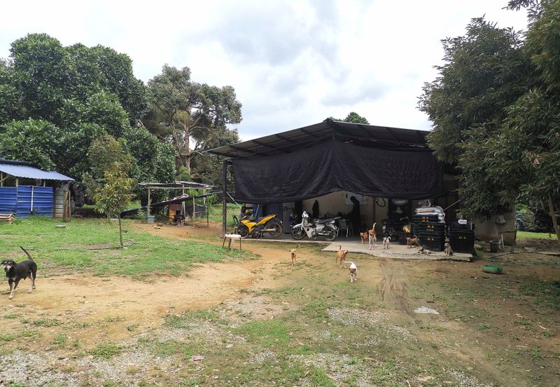 Kampung Mantin Dalam