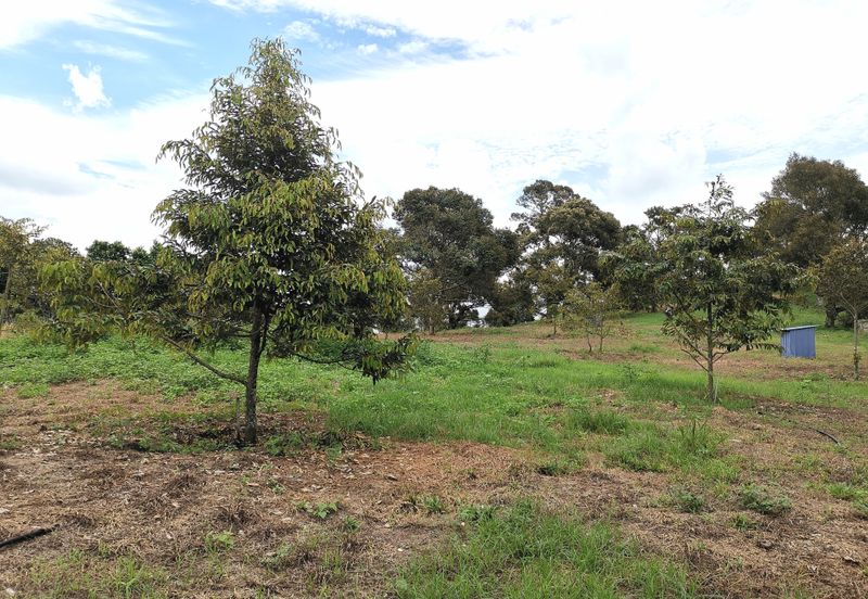 Kampung Mantin Dalam