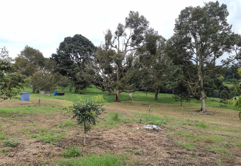 Kampung Mantin Dalam