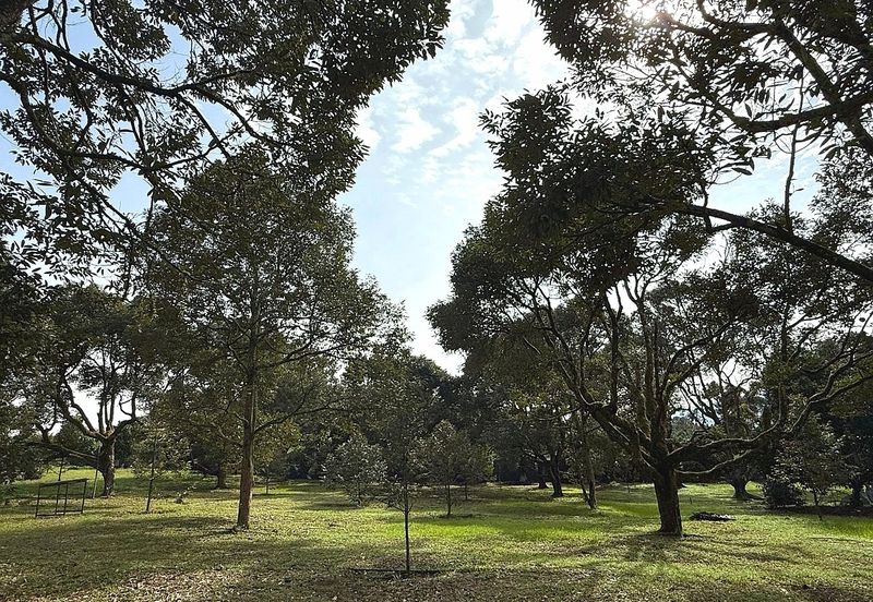 Kampung Mantin Dalam