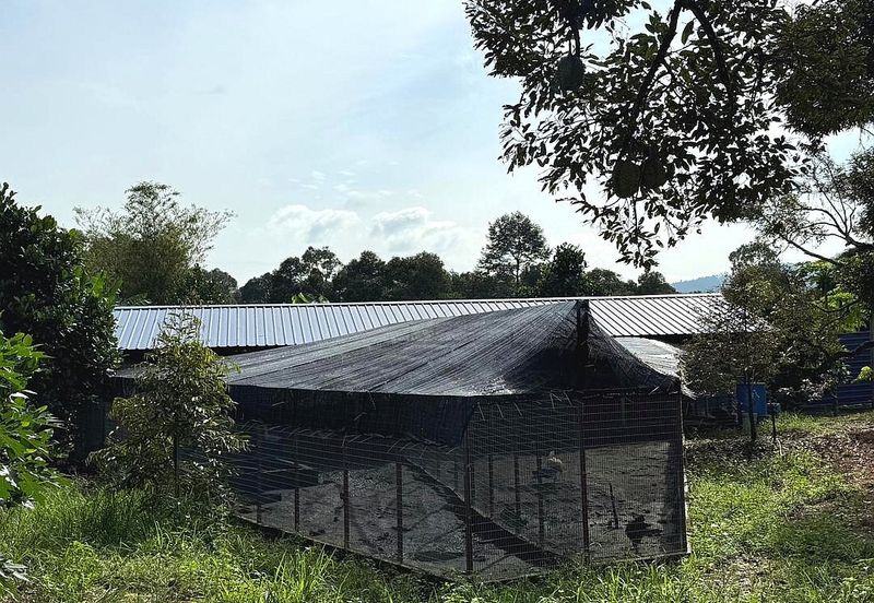 Kampung Mantin Dalam