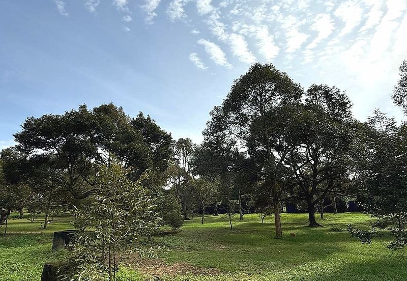 Kampung Mantin Dalam