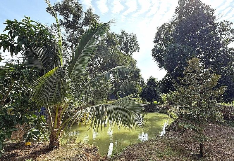 Kampung Mantin Dalam