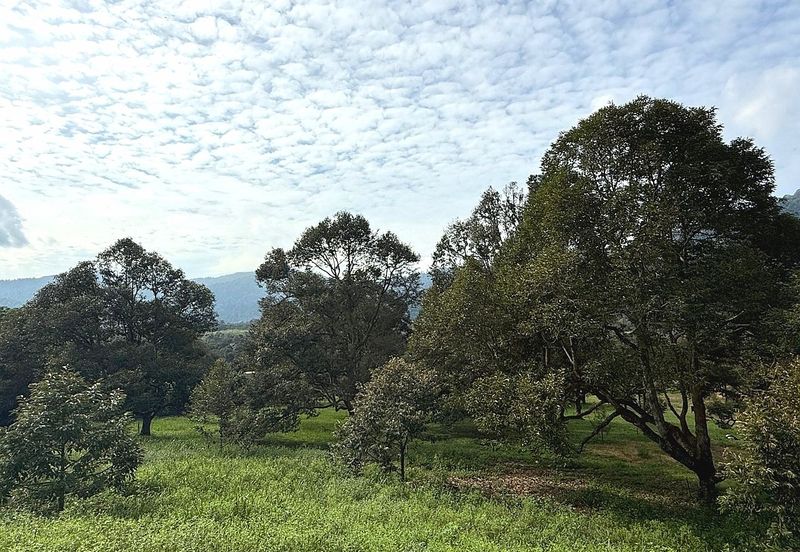 Kampung Mantin Dalam