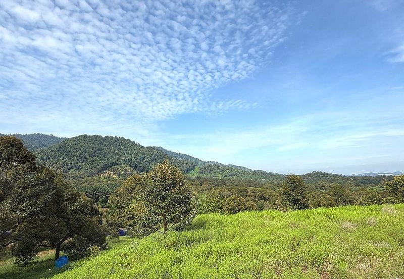 Kampung Mantin Dalam