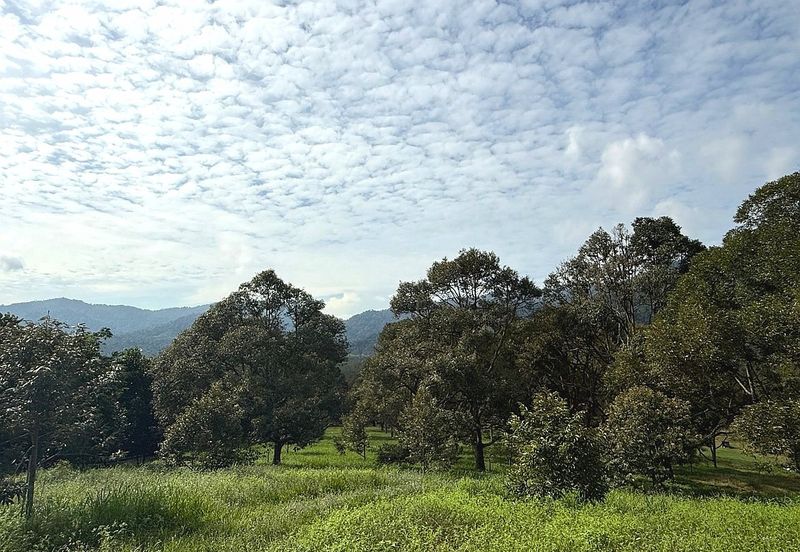 Kampung Mantin Dalam