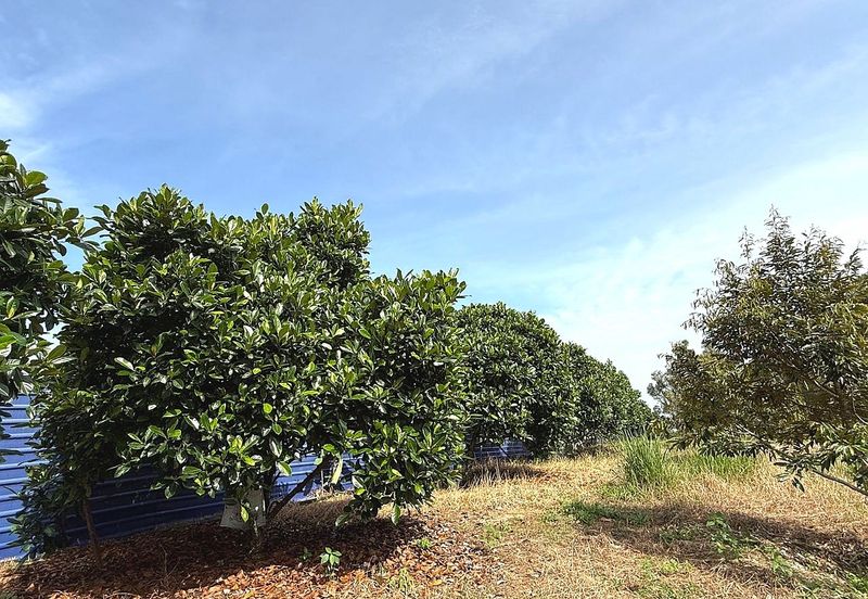 Kampung Mantin Dalam