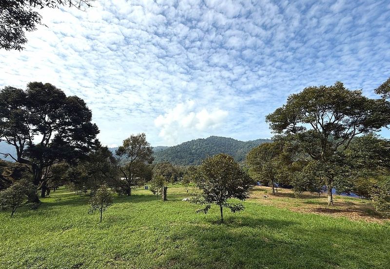 Kampung Mantin Dalam