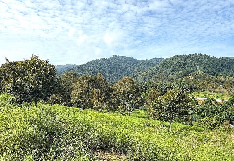 Kampung Mantin Dalam