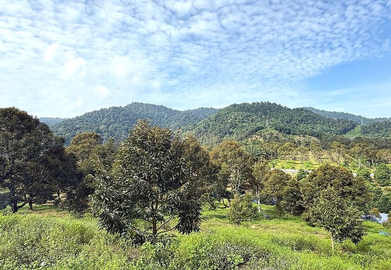 Kampung Mantin Dalam