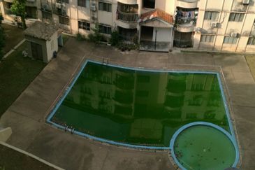 Pangsapuri Cemara, Taman Pinggiran Putra