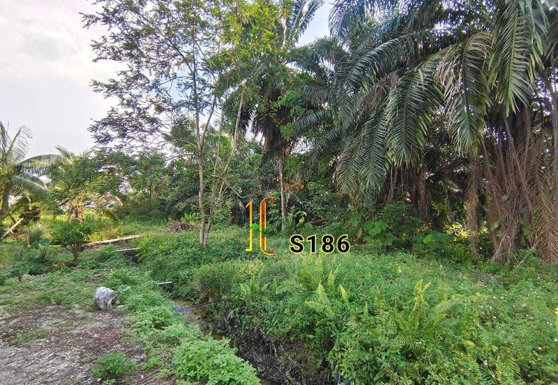 Taman Jaya, Pekan Kapar