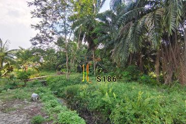 Taman Jaya, Pekan Kapar