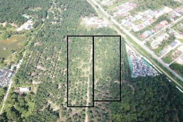 Taman Jaya, Pekan Kapar