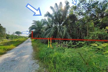 Taman Jaya, Pekan Kapar