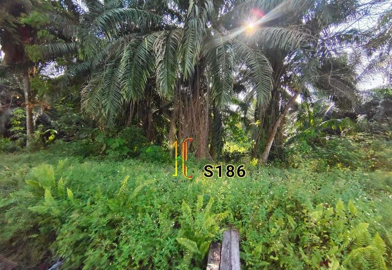 Taman Jaya, Pekan Kapar