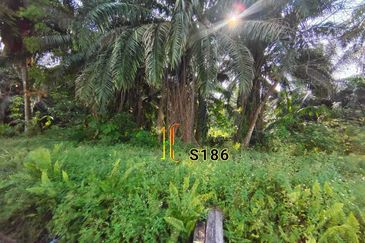 Taman Jaya, Pekan Kapar