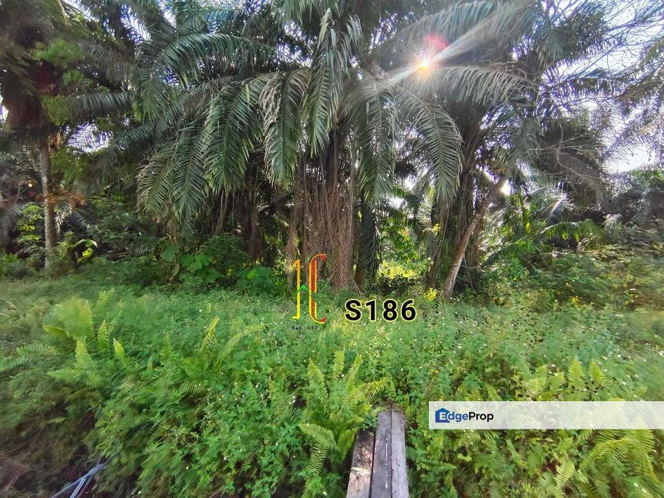 Agriculture Land (Residential Zoning) Kapar Klang selling CHEAP, Selangor, Kapar 