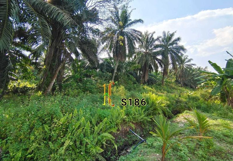 Taman Jaya, Pekan Kapar