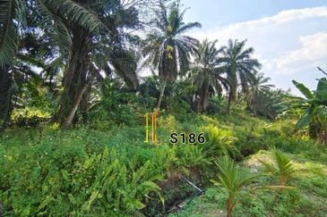 Taman Jaya, Pekan Kapar