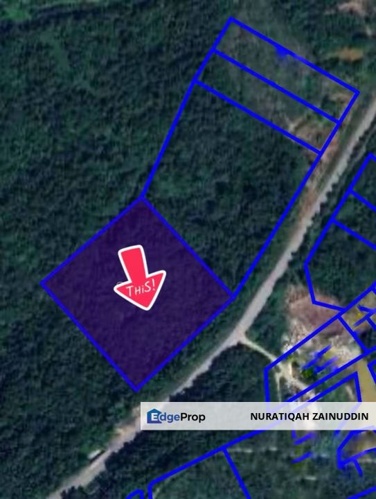 LAND FOR SALES - TANAH TEPI JALAN UTAMA JALAN MARAN TEMERLOH PAHANG, Pahang, Maran Mengkarak