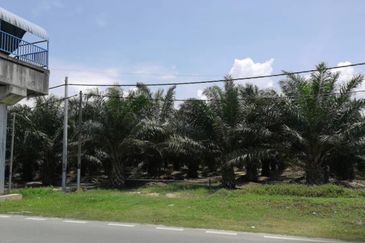 8.8 Acres Land, Asam Jawa, Kuala Selangor