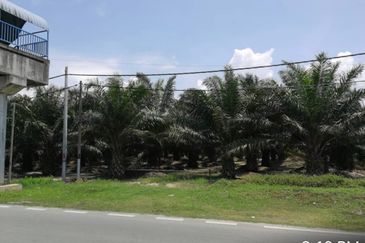 8.8 Acres Land, Asam Jawa, Kuala Selangor