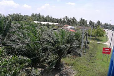 8.8 Acres Land, Asam Jawa, Kuala Selangor