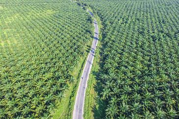 Warehouse with Land, Asam Jawa, Kuala Selangor