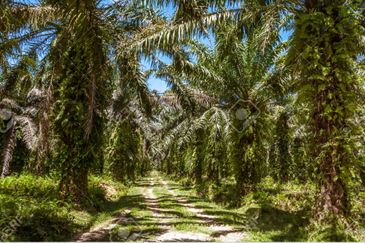 Warehouse with Land, Asam Jawa, Kuala Selangor