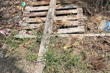 Agriculture Land, Kuala Selangor  0.4046 Hektar , Land For Sale 