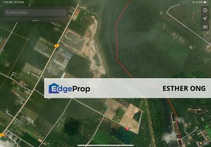 8.2 Acre Agriculture Land Sepang Dragon Fruit Farm Fish Pond Glamping, Selangor, Sepang