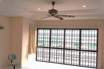 Evergreen Park Scot Pine