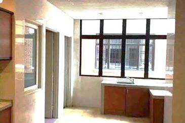 Evergreen Park Scot Pine