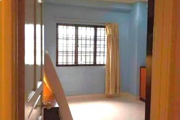 Evergreen Park Scot Pine