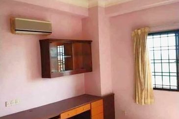 Evergreen Park Scot Pine