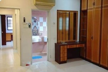 Evergreen Park Scot Pine