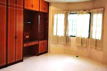 Evergreen Park Scot Pine