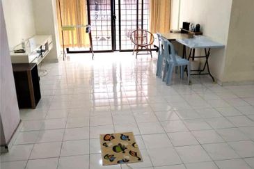 Evergreen Park Acorn and Hazel