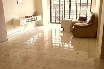 Evergreen Park Acorn and Hazel