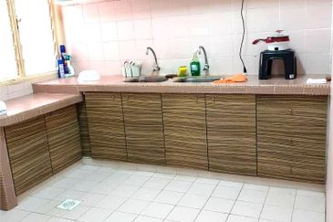 Evergreen Park Acorn and Hazel