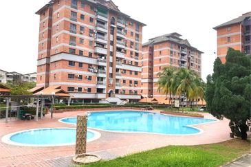 Evergreen Park Acorn and Hazel