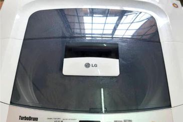 Evergreen Park Acorn and Hazel