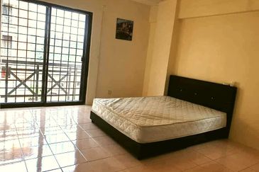 Evergreen Park Acorn and Hazel