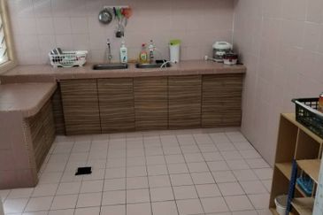 Evergreen Park Acorn and Hazel